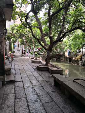 小洲村