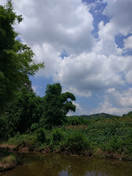 夏天乡村