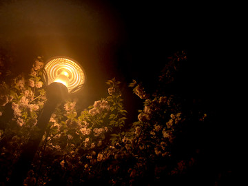 夜晚路灯