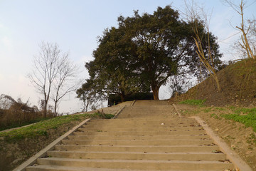 码头梯步