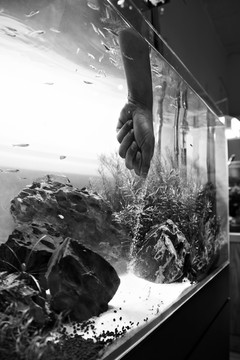 鱼缸水景布置