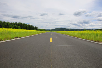通向油菜花海的草原公路