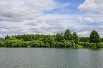 森林旁的湖泊