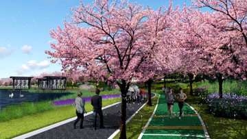 樱花漫步道
