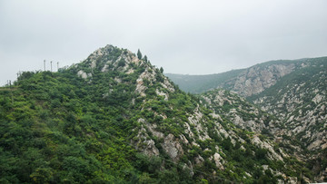 石头山峰上的绿植