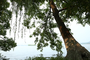 西湖