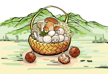 山珍菌菇插画香菇蘑菇杏鲍菇金针