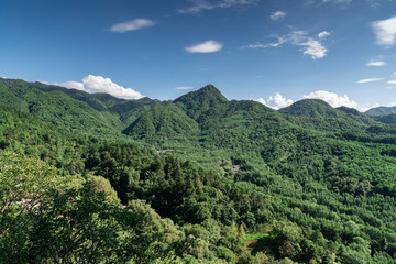 秦岭山