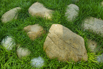 鹅卵石嵌草地面