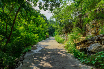 山乡道路