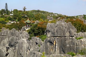 云南昆明石林风景区