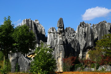 云南昆明石林风景区