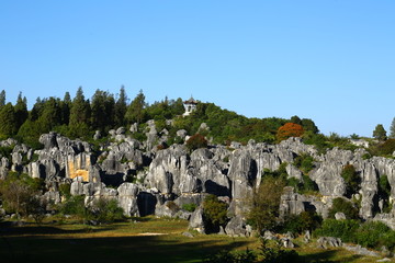 云南昆明石林风景区全景