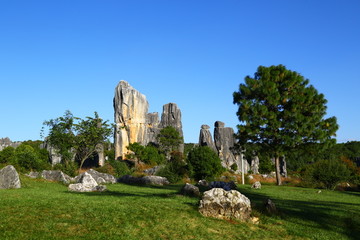 云南昆明石林风景区
