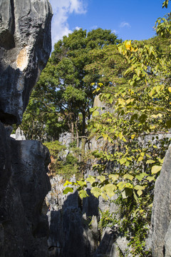 石林风景区