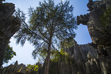 石林风景区