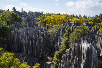 石林风景区