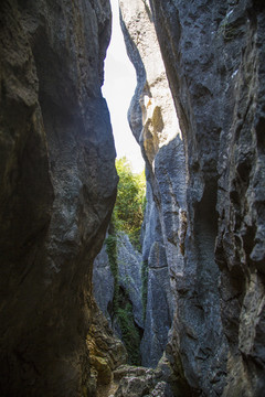 石林风景区
