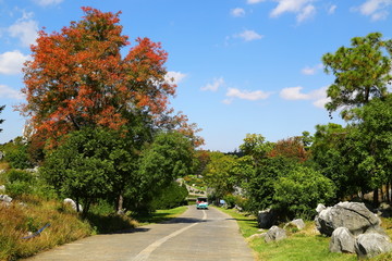 石林风景区