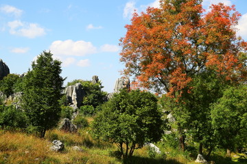 石林风景区