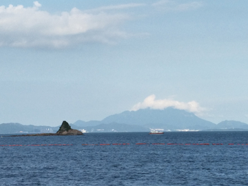 大海