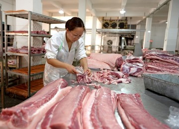 肉联厂加工生产线