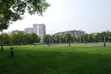 广场草坪