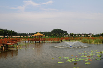 位山黄河湿地公园
