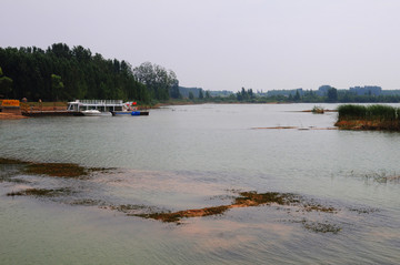 位山黄河湿地公园