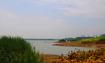 位山黄河湿地公园
