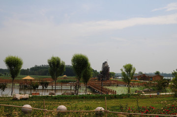 位山黄河湿地公园
