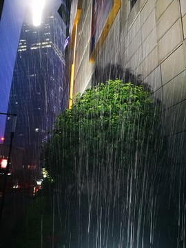雨中的城市
