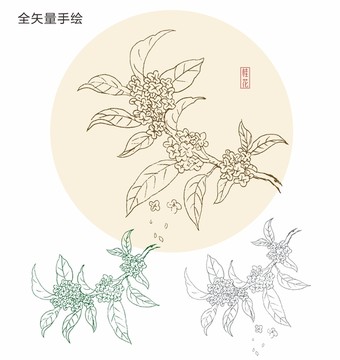 手绘桂花