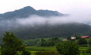 马河风光