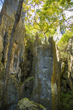 石林风景区