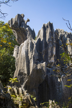 石林风景区