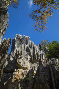 石林风景区