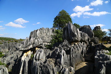 石林风景区