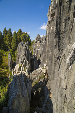 石林风景区