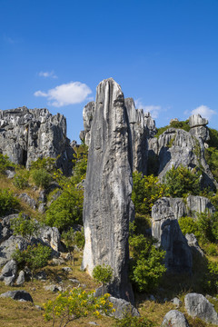 石林风景区