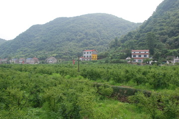 农村风景