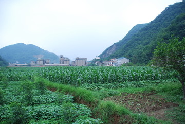 农村风景