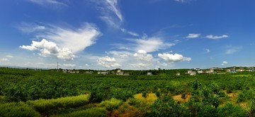 农村风景接片