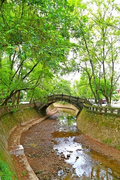 河道林木拱桥