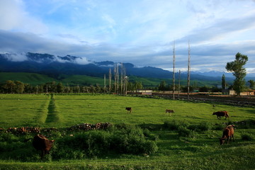 那拉提草原