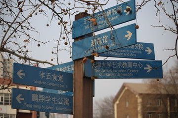天津大学校园路标