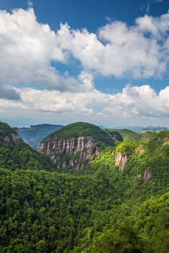 青山