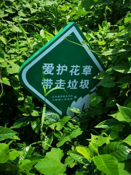 花草提示牌