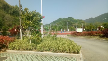 校园绿化