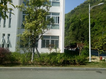 绿化案例